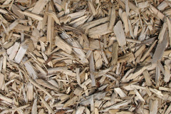 biomass boilers Tresoweshill